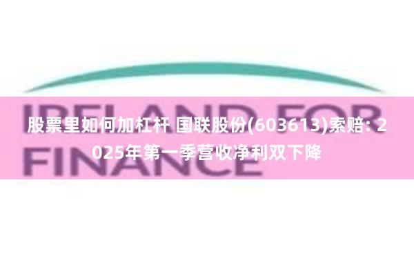 股票里如何加杠杆 国联股份(603613)索赔: 2025年第一季营收净利双下降