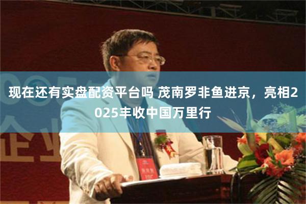 现在还有实盘配资平台吗 茂南罗非鱼进京，亮相2025丰收中国万里行