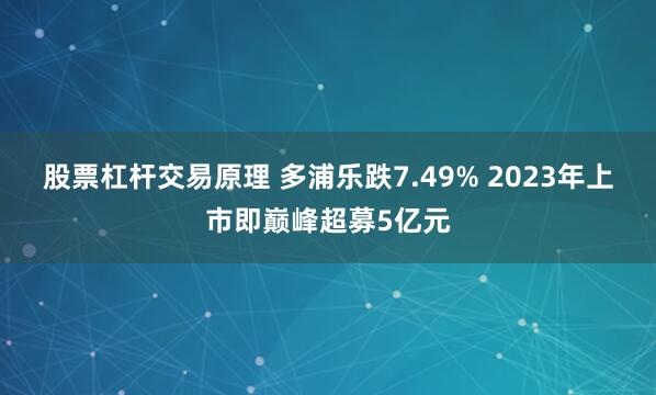股票杠杆交易原理 多浦乐跌7.49% 2023年上市即巅峰超募5亿元