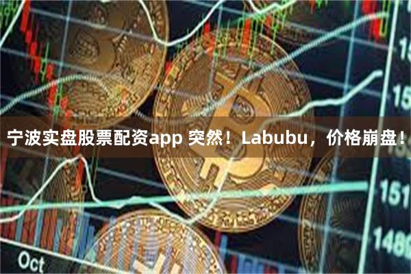 宁波实盘股票配资app 突然！Labubu，价格崩盘！