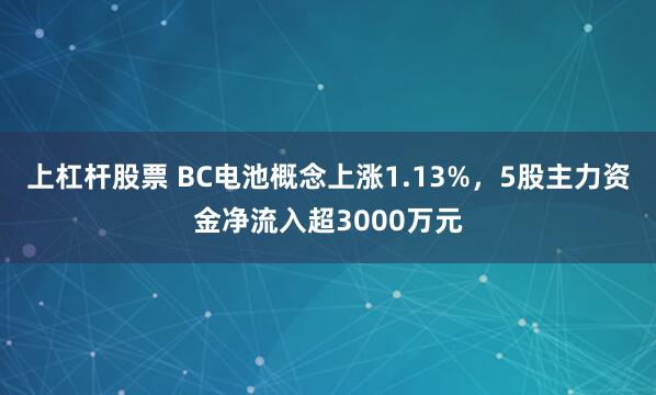 上杠杆股票 BC电池概念上涨1.13%，5股主力资金净流入超3000万元