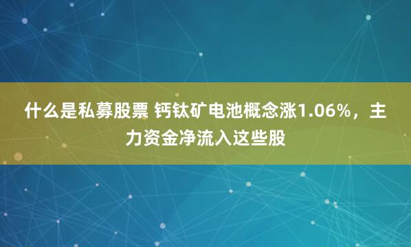什么是私募股票 钙钛矿电池概念涨1.06%，主力资金净流入这些股
