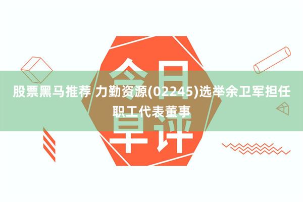 股票黑马推荐 力勤资源(02245)选举余卫军担任职工代表董事
