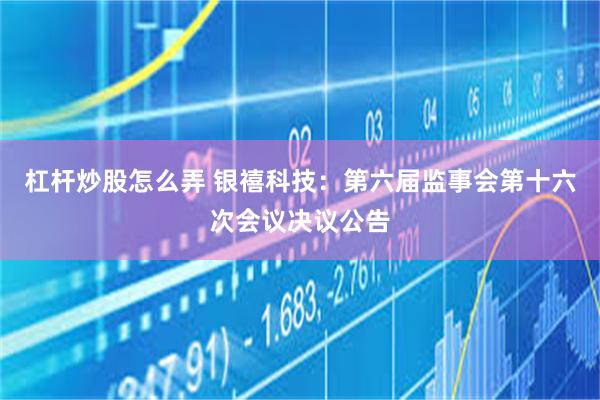 杠杆炒股怎么弄 银禧科技：第六届监事会第十六次会议决议公告