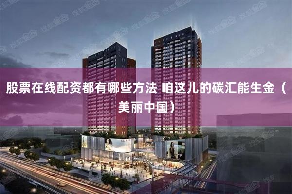 股票在线配资都有哪些方法 咱这儿的碳汇能生金（美丽中国）
