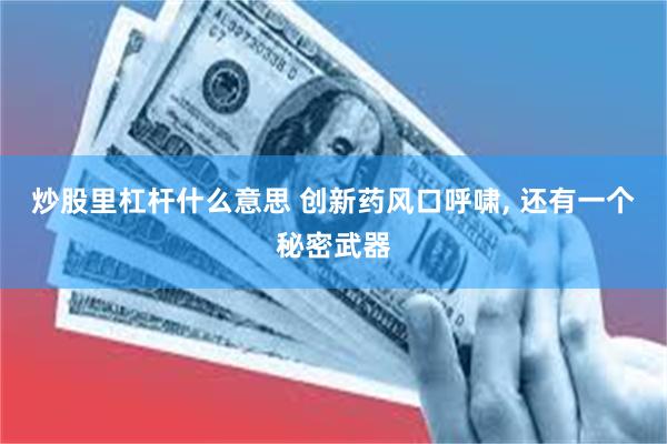 炒股里杠杆什么意思 创新药风口呼啸, 还有一个秘密武器