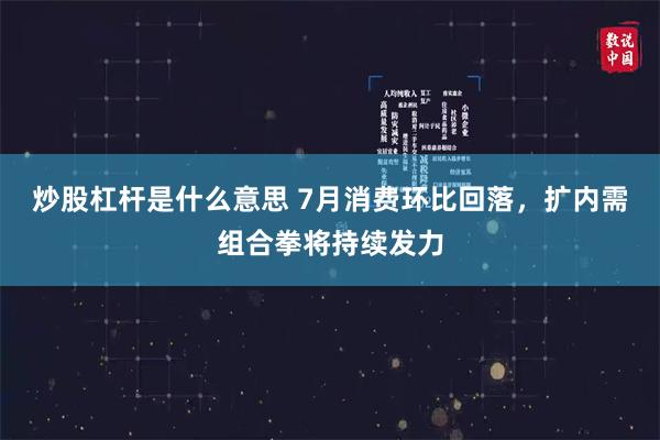 炒股杠杆是什么意思 7月消费环比回落，扩内需组合拳将持续发力