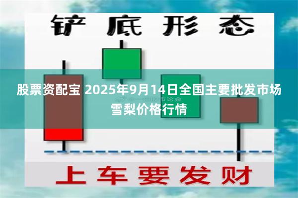 股票资配宝 2025年9月14日全国主要批发市场雪梨价格行情